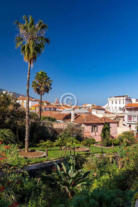 Jardín Victoria - La Orotava - Tenerife