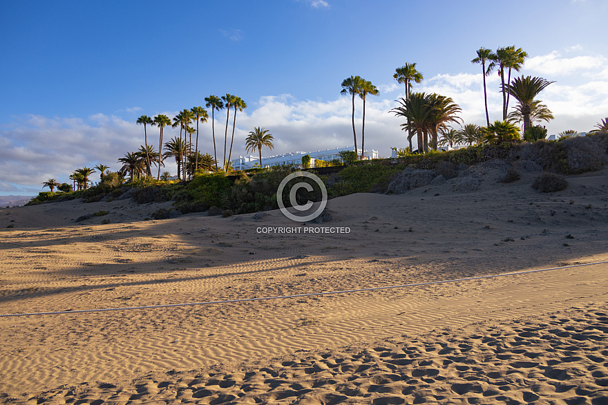 Dunas de Maspalomas: Senderos Y Miradores