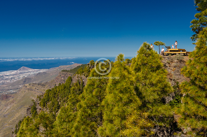 Mirador Llano de La Mimbre - Tamadaba