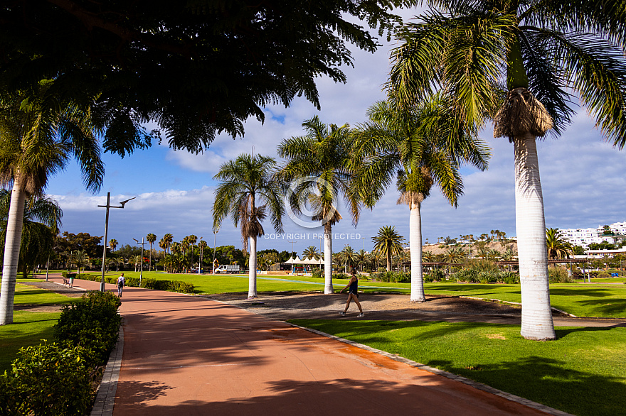 Parque del Sur en Campo Internacional Maspalomas