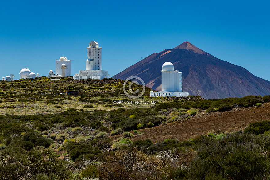 Las Cañadas y El Teide - Tenerife