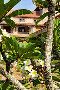 Convento de las Dominicas