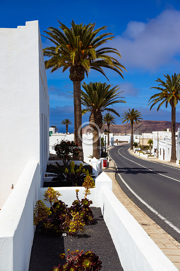 Lanzarote: Bodegas Guinguan