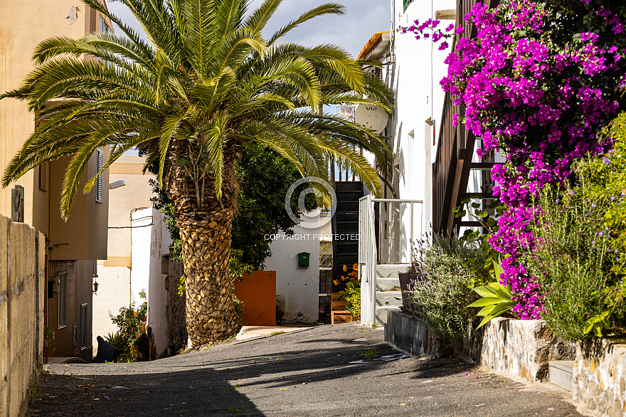 Tenerife: San Miguel de Abona