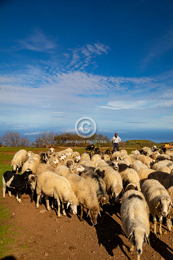 La Caldera cheese farm visit Nexudus Repeople