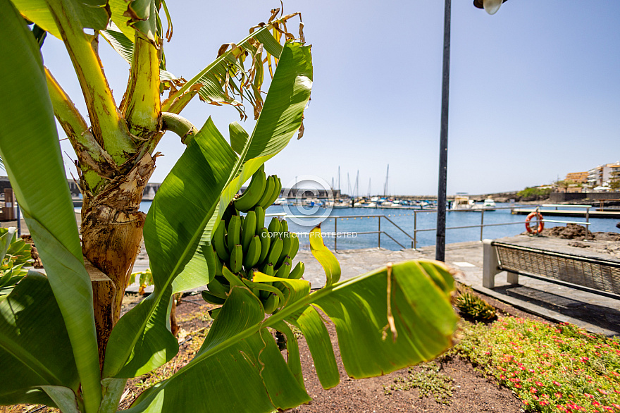 La Restinga - El Hierro