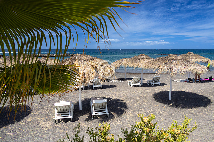 Tenerife: Playa del Duque Norte