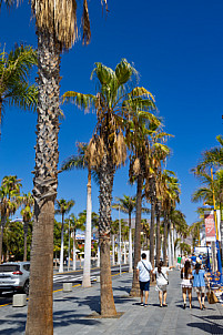 Tenerife: Playa de Las Americas