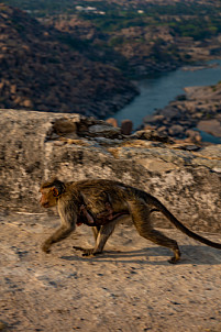 Hampi - India