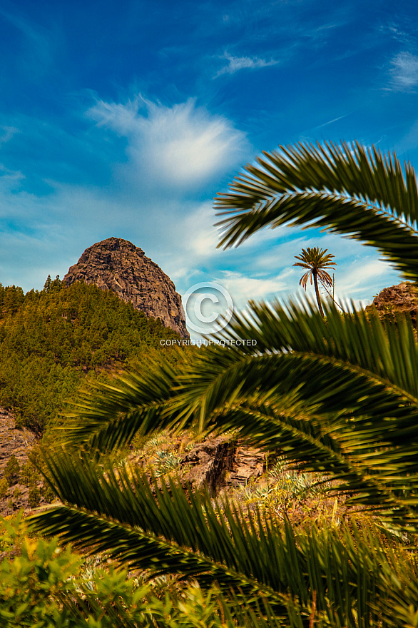 Barranco de las Lajas - La Gomera