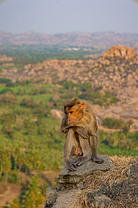 Hampi - India