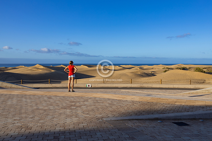 Dunas de Maspalomas: Senderos Y Miradores