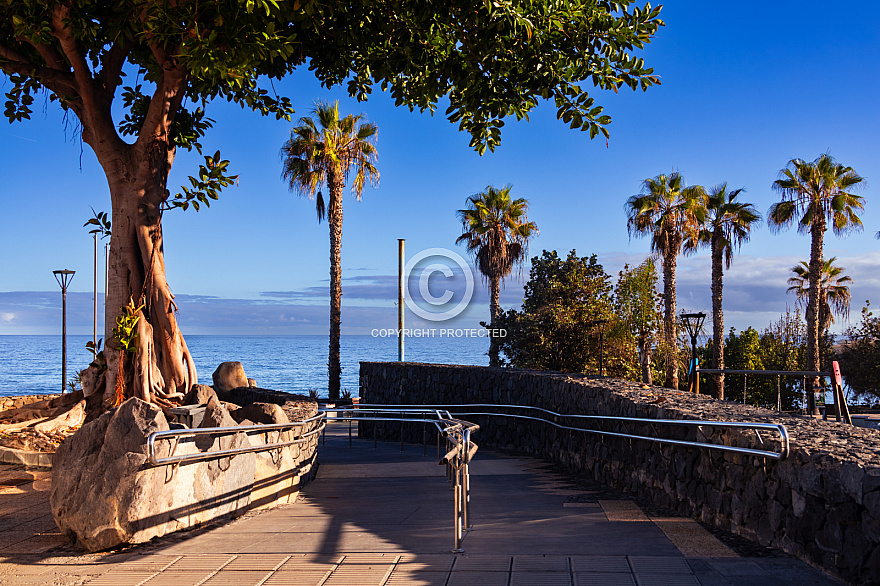 Puerto de La Cruz: Tenerife