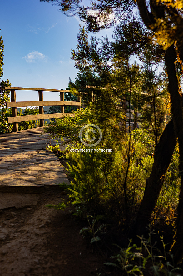 Mirador del Morro de Agando - La Gomera