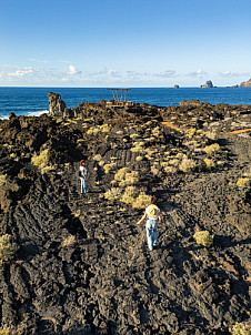 Sendero litoral La Maceta - Las puntas - El Hierro