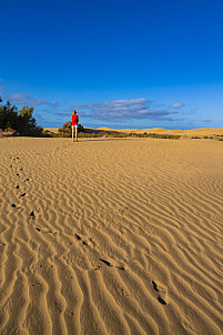 Dunas de Maspalomas: Senderos Y Miradores