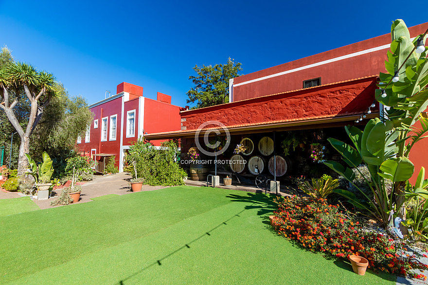 Bodega San Juan - Finca Mocanal - Gran Canaria