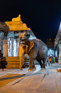 Hampi - India