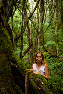 El Cedro - Garajonay