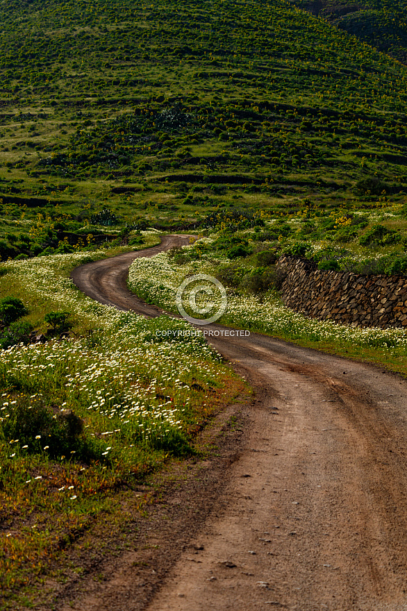 On the Road - Lanzarote