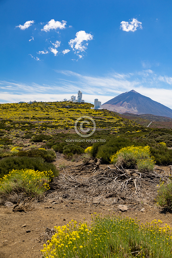 Cañadas del Teide - Tenerife