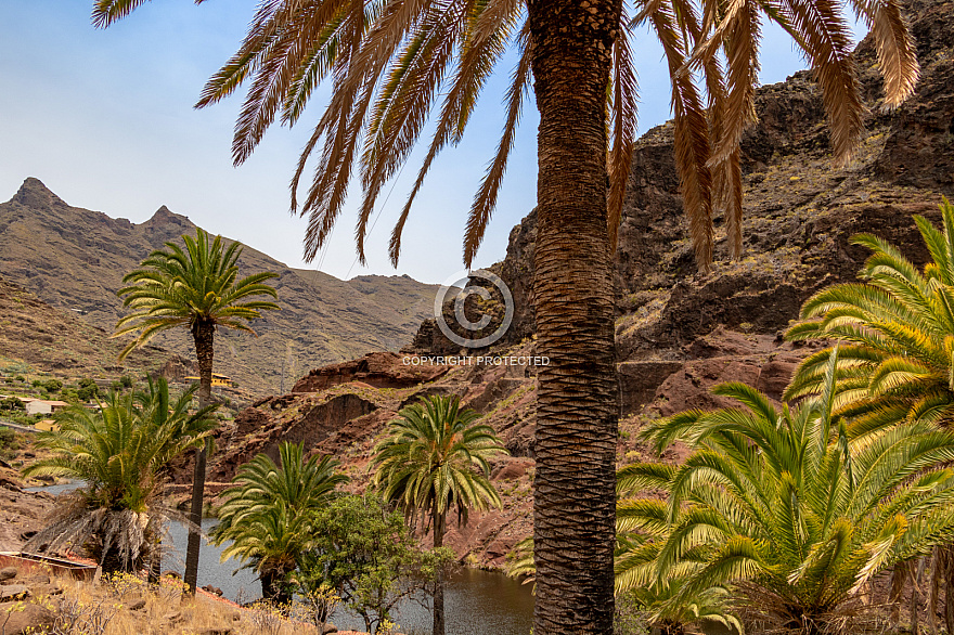 Barranco de las Lajas - La Gomera