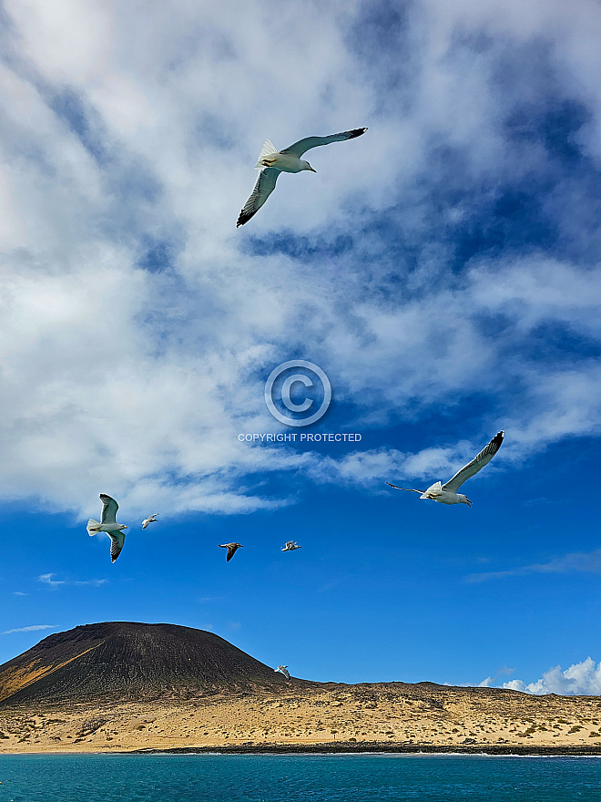 La Graciosa catamaran boat excursion