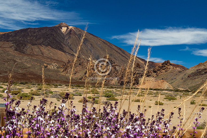 Las Cañadas y El Teide - Tenerife