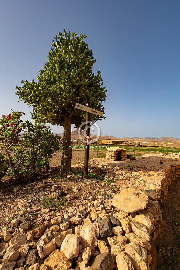 Ecomuseo De La Alcogida - Fuerteventura