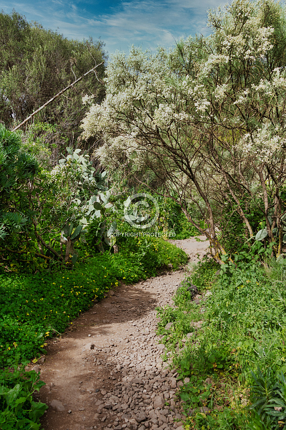 Barranco de los Cernícalos