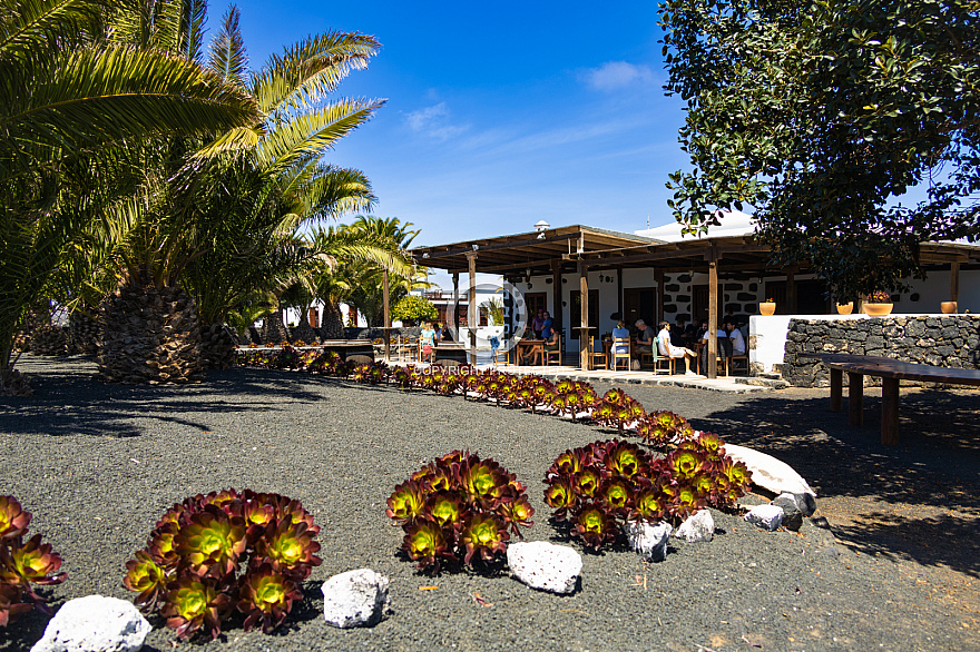 Lanzarote: Bodega Bermejo