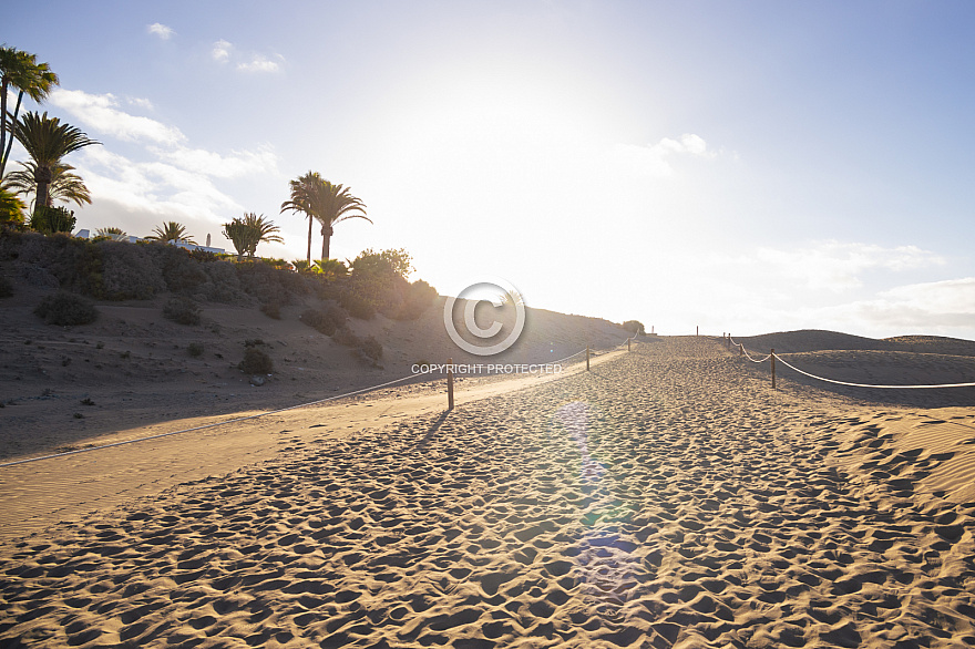 Dunas de Maspalomas: Senderos Y Miradores