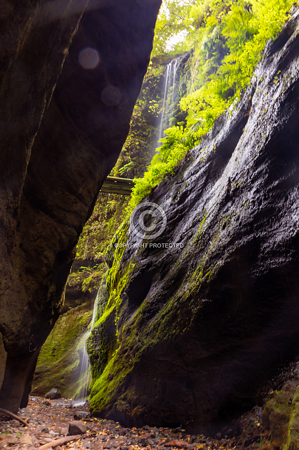 Bosque de los Tilos (Cascada - Waterfall) - La Palma