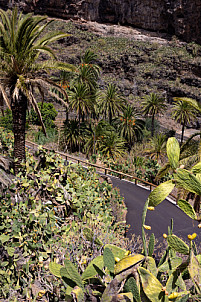 Barranco de Santiago - La Gomera