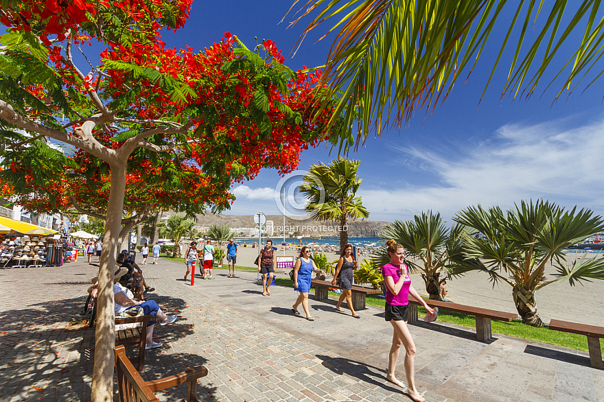 Playa Los Cristianos Tenerife