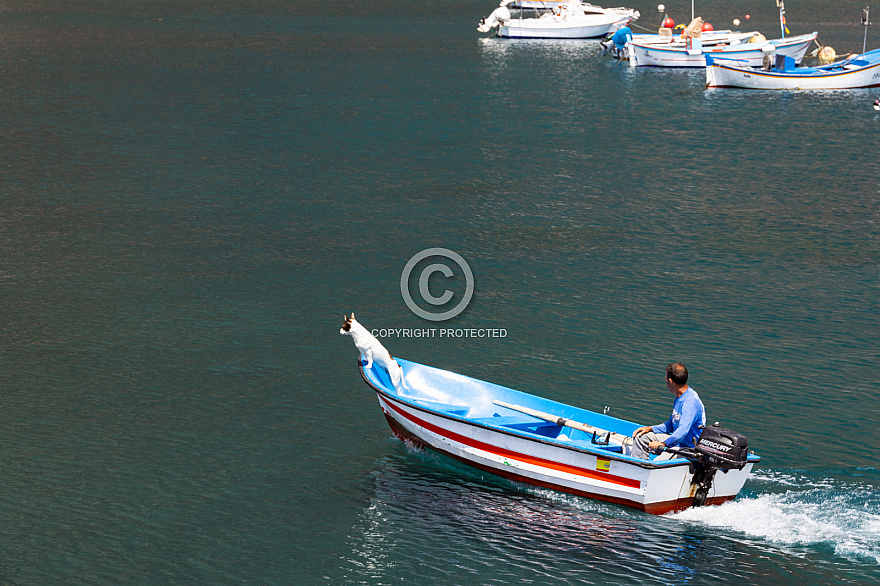 La Gomera: Valle Gran Rey