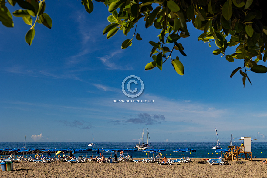 Playa Las Vistas - Tenerife