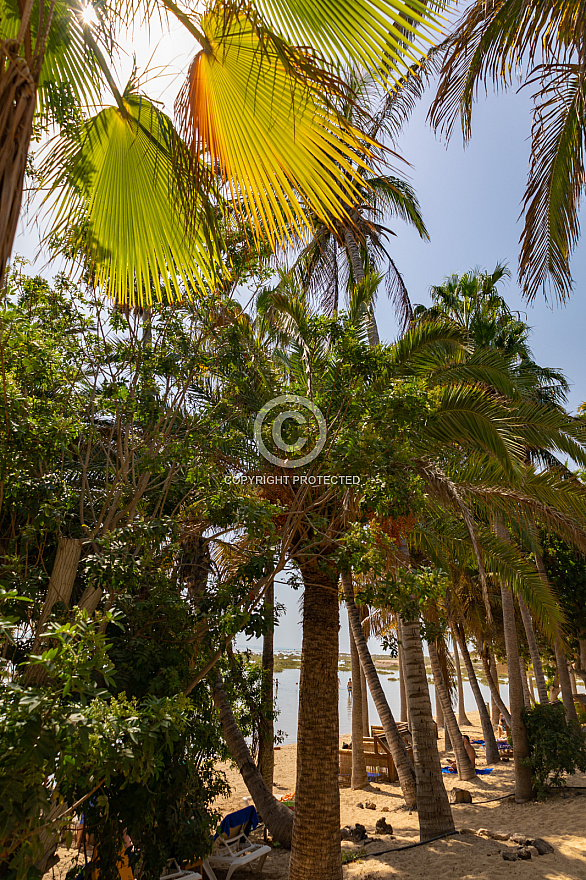 Playa y Laguna de Sotavento - Fuerteventura