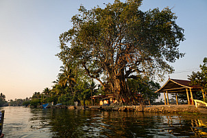 Alleppey - India