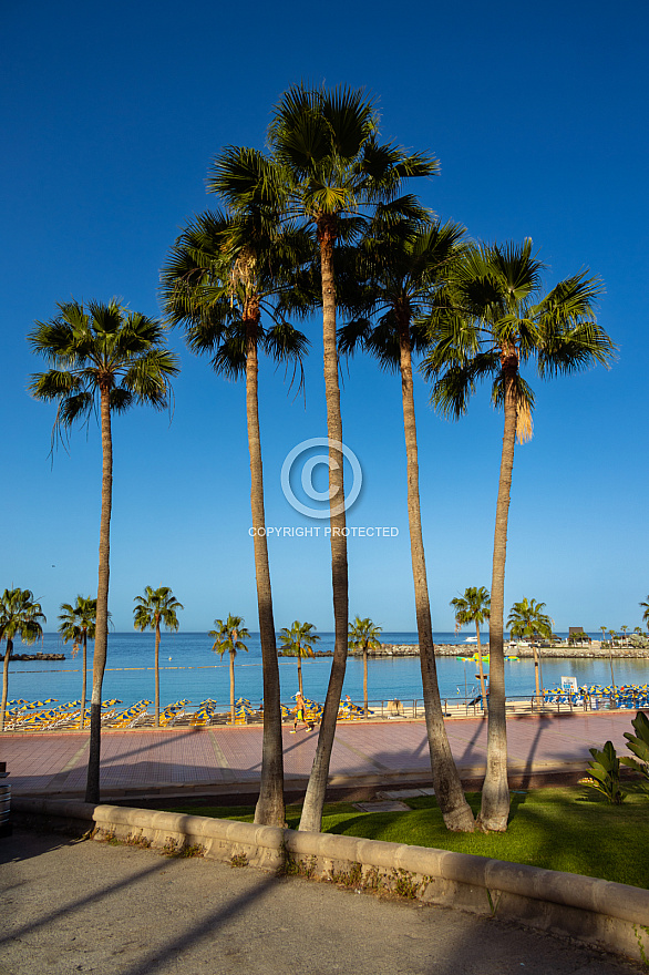 Playa de Amadores