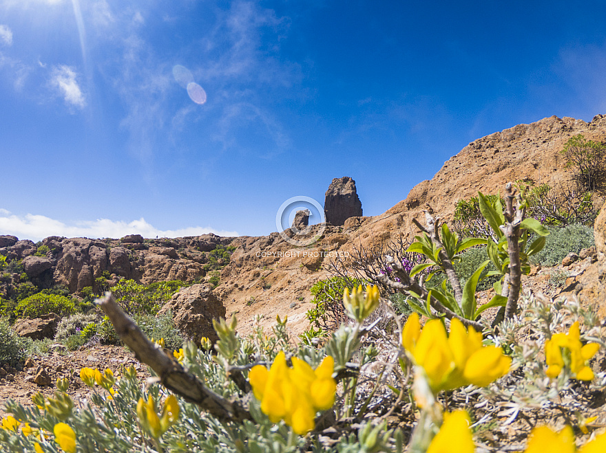 Roque Nublo