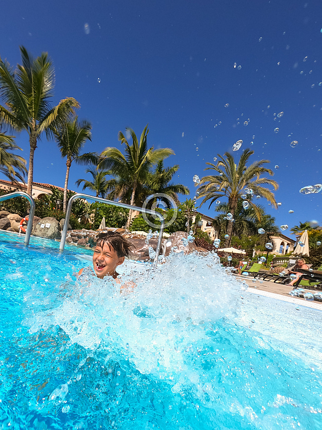 Pool Fun Palm Oasis