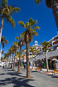 Tenerife: Playa de Las Americas