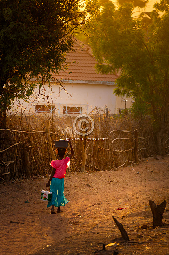 Senegal 2019