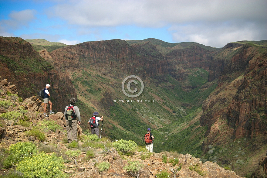 Hiking