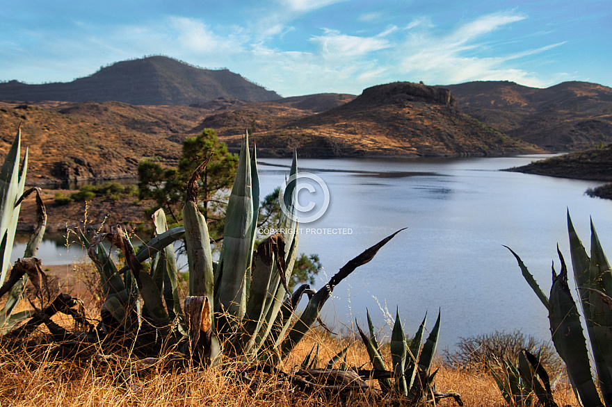 Presa de las Niñas - Gran Canaria