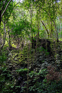 Cubo de la Galga - La Palma