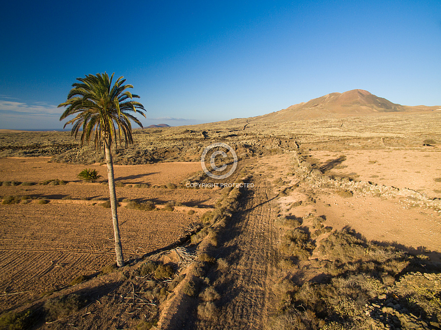 Malpais de la Arena - Fuerteventura