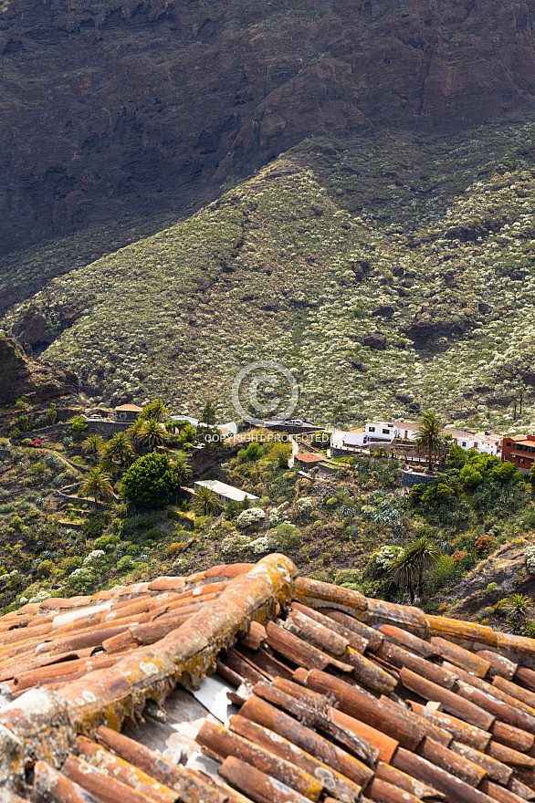 Tenerife: Masca