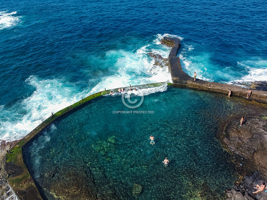 Charco de Isla Cangrejo - Tenerife